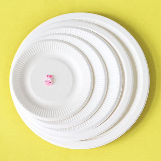 Xubao white paper plate DIY children's art graffiti paper plate painting kindergarten material disposable paper plate cake plate pulp white plate 7 inches 50 pieces 18cm