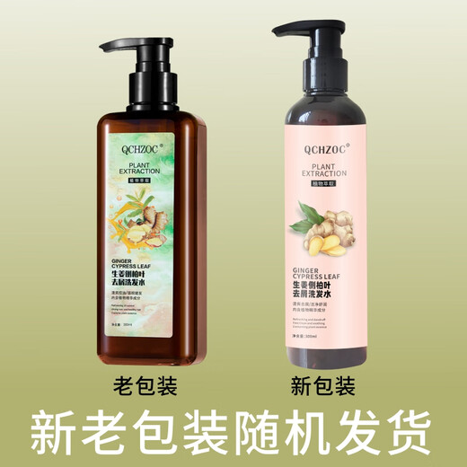 Qchzoc Ingwer Orchidaceae Blatt Erfrischende Anti-Dandruff-Shampoo-Reinigung und beruhigendes Shampoo 300ml