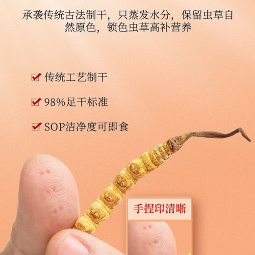 [Cordyceps authentiques] GRAND GRASSE BROCKET Cordyceps authentiques Authentiques Herbe Cordyceps Grass Brokés Cordyceps Grass Broken Fed Tonic pour l'auto-fourrure Cordyceps Tibet Big Broken Grass Cordyceps 20 grammes obtiennent 1 gramme [Total 21 grammes]
