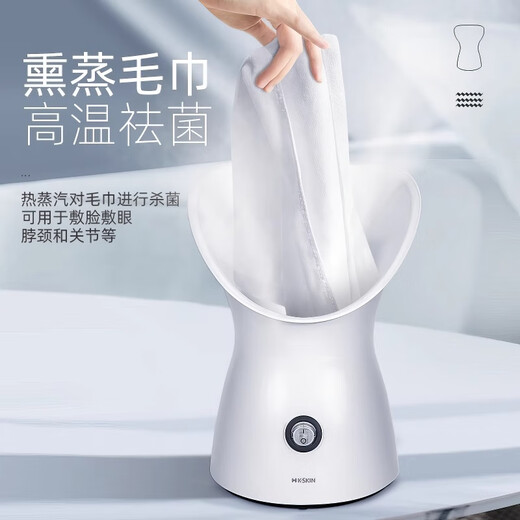 Golden Rice Hot Spray Facial Steamer Replenishing Moisture Facial Steamer Nano Sprayer Home Facial Beauty Instrument Facial Humidifier Smoky Face Steamer Open Pores Traditional Chinese Medicine Facial Steamer Girl Gift Ivory White