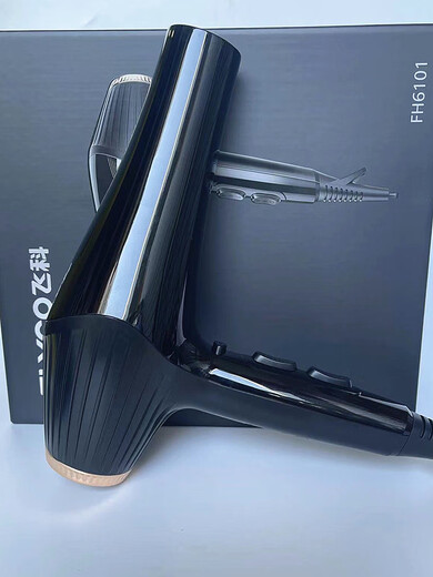 Feike Haartrockner FH6101 Friseursalon Spezieller Haartrockner negativer Ion ohne Beschädigung des Haar