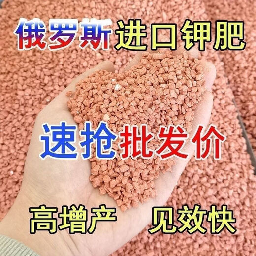 Potash fertilizer wholesale Russian imported high-potassium high-efficiency fertilizer universal instant fertilizer for agricultural flowers, fruit trees and vegetables red granular potash fertilizer 50Jin Jin equal to 0.5kg
