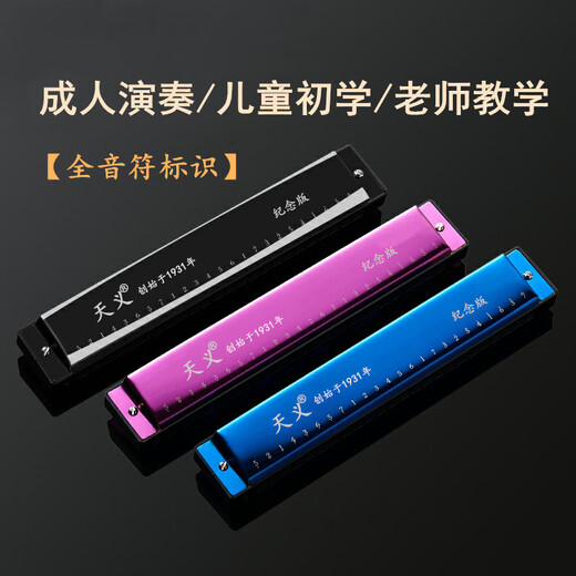 口琴24孔c调复音演奏级成人儿童男女初学者学生入门 宝石蓝+全套