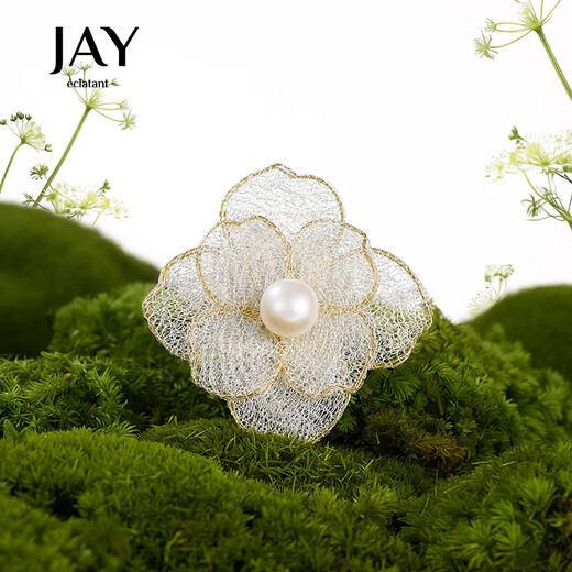 Jay brooch, high-end female corsage, brooch, jewelry, birthday gift for elders, mother and mother-in-law