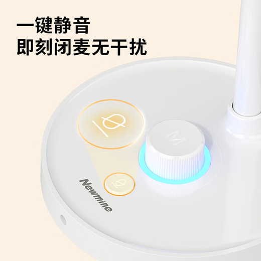 Newman ZM06 computer microphone, USB gaming desktop noise reduction microphone, computer desktop notebook, online class conference, voice live recording, condenser microphone, white