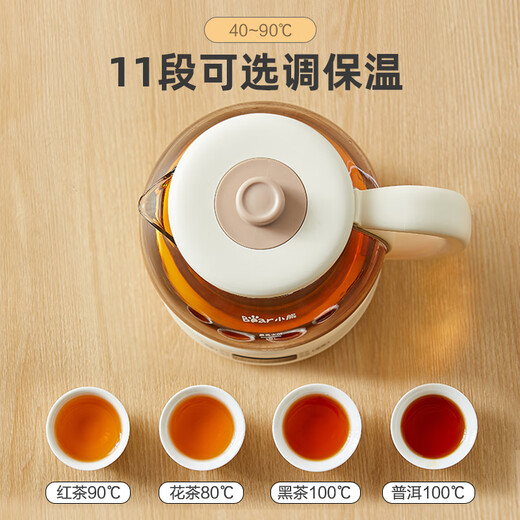 Bear tea kettle, health kettle, all-in-one tea kettle, mini tea steamer, 316L spray stainless steel kettle, black tea tea set, 1 liter ZCQ-F10N7