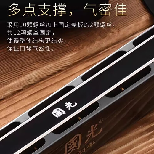 Guoguang importiert Gong Guoguang Akzent 24-Loch-Mundharmonika Polyphonische 28-Loch Advanced Adult Professional Performance Anfänger 28-Loch Bright Black Polyphonic Phonetic Symbol Modell + Vollständige Geschenke