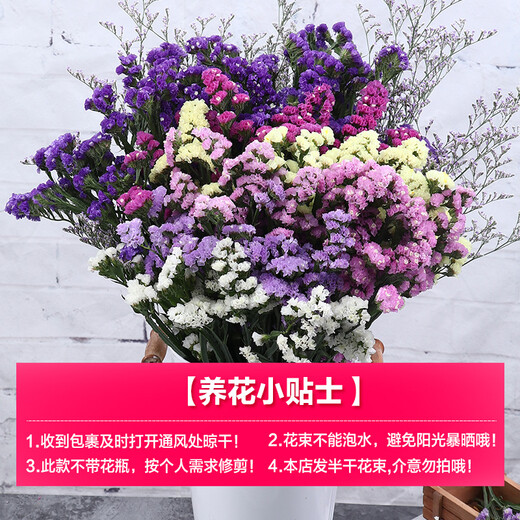 AIMAN Yunnan Forget-Me-Not Real Flowers Dried Flower Bouquet Home Furnishings Small Fresh Living Room Gypsophila Flower Arrangement Theory Jin Jin is equal to 0.5 kg. Sell a bouquet of red crystal flowers and dry branches.