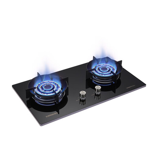 Xinqi Gasofen XB693-T131/T132 Gasherd Doppelherde eingebetteter Desktop Dual-Purple-Feuerlöschschutzherd XB693-T131 Erdgas