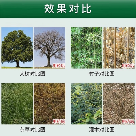 Rotten tree root agent, big tree removal, one drop, one drop, one needle, powerful tree removal agent, special medicine to kill big tree, rotten root king, genuine bottle, powerful tree removal 100ml 1 bottle