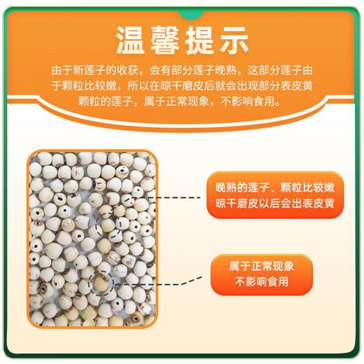 October Rice Field Lotus Seeds 250g Half Jin Jin is equal to 0.5 kg White lotus seeds with core removed and ground from Xiangtan Ingredients for longan lily and white fungus soup