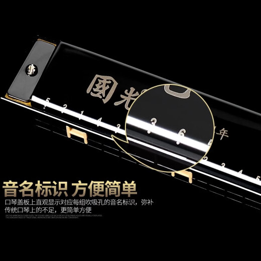 国光正品国光口琴24孔复音C调初学者学生儿童男女自学入门口风琴乐器 24孔复音C调-金色+全套赠品