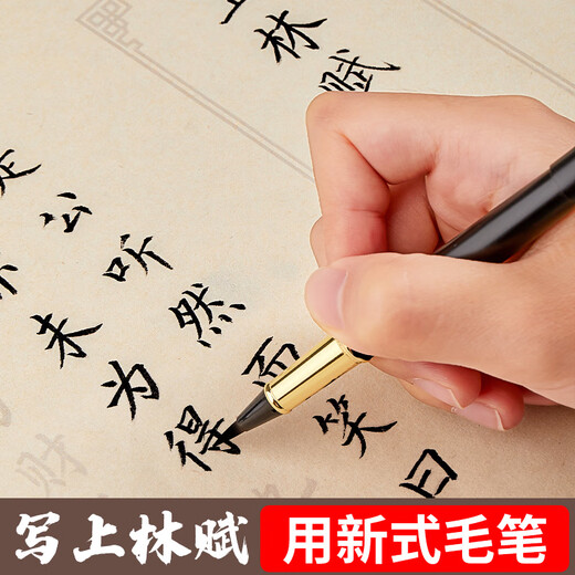 Liupintang fountain pen-style soft-pen calligraphy practice pen with ink refillable for beginners, entry-level copybook for adults, soft-headed langhao portable scripture copying pen, free 16 ink bags