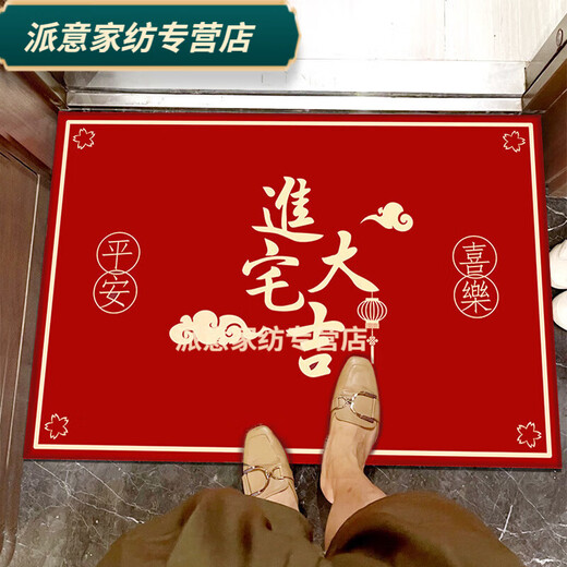 Rongtao safe entry door floor mat, outdoor home entrance floor mat, entrance hall housewarming festive foyer mat, welcome when you open the door 80*120cm