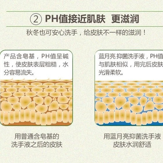 Blue Moon Aloe Vera Antibacterial Hand Sanitizer 500g Bottle Pump Head Refill Bottle Antibacterial 99.9% Rich Foam Bottle Refill 500g*2 Bottles