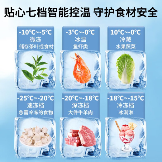 冰山雪冰柜商用家用卧式冷柜大容量冷冻展示柜商用冷冻柜大容量冷柜商用冷柜 698单温智控1.70米