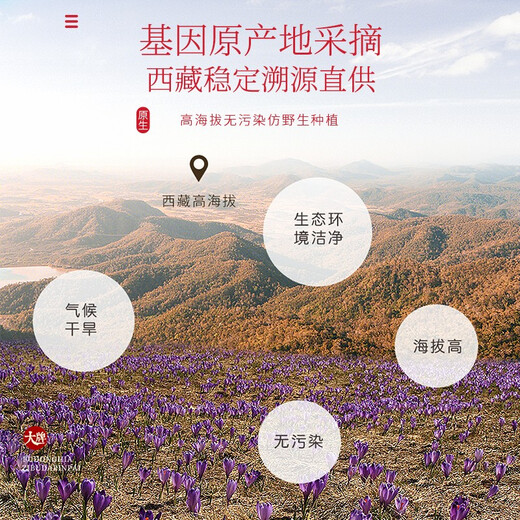 福东海特级藏红花5g 礼物西藏精选西红花全长番红花送女性礼盒装