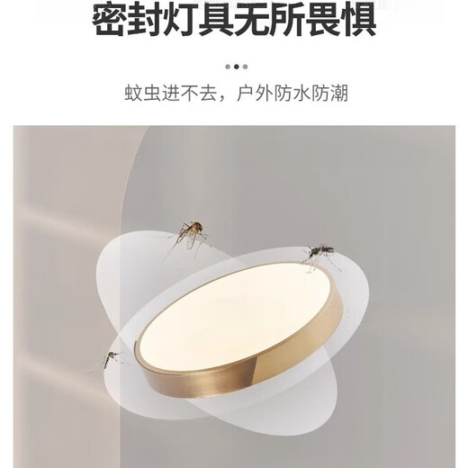 禾灵全铜别墅大门吸顶灯户外露台防虫门头灯超薄门前灯照明入户进门灯 X3889/30CM/三色可调