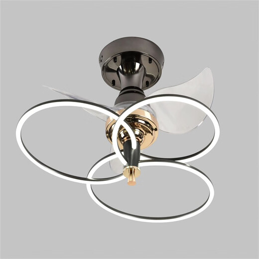 Er Jiangong Deckenlüfter Käfig 2023 Leichte Luxus-Schlafzimmer Wohnzimmer Esszimmer Lüfter Restaurant Elektrische Lüfter integriert Custom 9195 Black Absorbing Model + Drei-Farben-lichtveränderte Fernbedienung