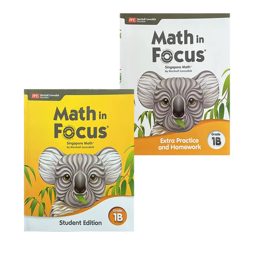 Libros de texto de Matemáticas Americanas importadas Singapur Matemáticas American Edition In Focus Singapur Math Coursebook 2020 Nuevo edición CCSS Outline Kakb12345678ab Singapur Matemáticas Modelado de la edición estadounidense 678 Curso de nivel
