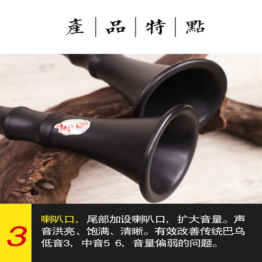 BAWU Musikinstrument vertikales Blasen und Spielen für Grundschüler mit Hochvolumen -G/F -Melodien, Einzelwindinstrument -Anpassung Modell G Tune + Bag + Fingertisch + Einführungsunterrichtsbuch
