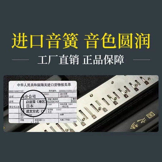 国光进口音簧国光口琴正品24孔复音#A/B/C/D/F/G调/降/成人专业演奏级 #C调（降D调）