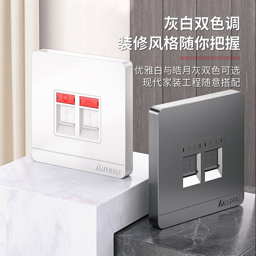 安普康（AMPCOM）网络插座 双口RJ45全面屏CAT678类网线口模块面板 86型RJ11电话二位电脑网口信息母座 AM8602GY