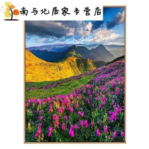 有山无水玄关装饰画田园餐厅风景挂画走廊正对门过道壁画日出东方 30X40厘米-黑色框 HY895