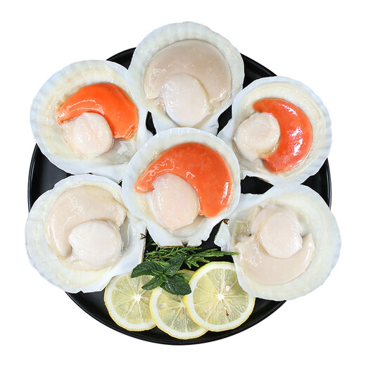 Fuhai Nishiki Sauce Half Shell Ezo Scallops 540g 6 pieces without sand hot pot barbecue ingredients seafood fresh shellfish gift