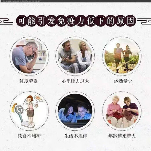修正 破壁灵芝孢子粉胶囊 中老年成人男女增强免疫力 增强免疫灵芝粉孢子粉手术后营养保健品礼品 3盒 养身装