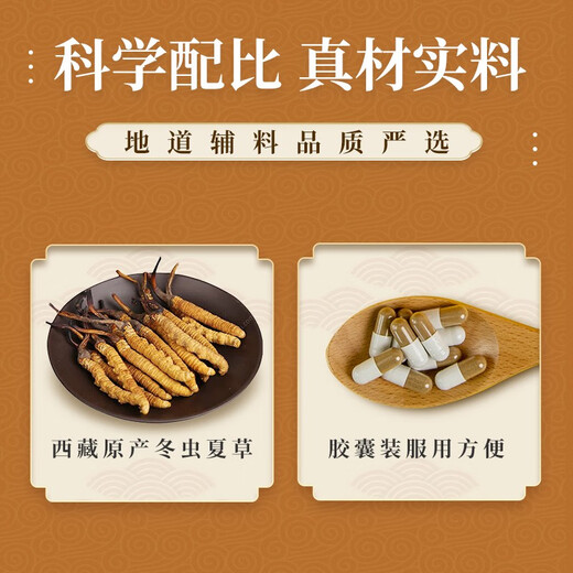 位元堂珍品冬虫夏草胶囊破壁菌丝体虫草 补虚损益肾增强免 24粒/盒