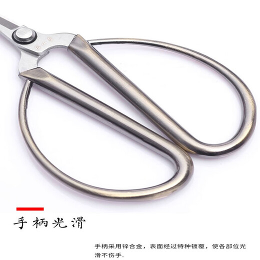 Zhang Xiaoquan ciseaux en alliage pinces à manucure petits ciseaux ciseaux de réparation des ongles ciseaux à peau morte pointus tête large ongles épais Ns-9 ciseaux à ongles pointus