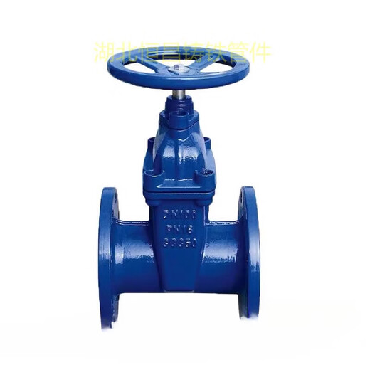 Factory direct sales ductile iron soft seal flange gate valve DN50-DN600 water supply flange valve fittings DN250