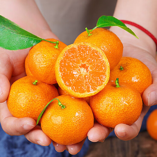 Authentic Guangxi sugar orange fresh fruit seasonal golden autumn tangerine seedless small sugar orange whole box 3Jin Jin equal to 0.5kg, pure sweet and no residue Authentic Guangxi sugar orange fresh fruit seasonal golden autumn tangerine seedless small sugar orange whole box 3Jin Jin equal to 0.5kg, pure sweet and no residue