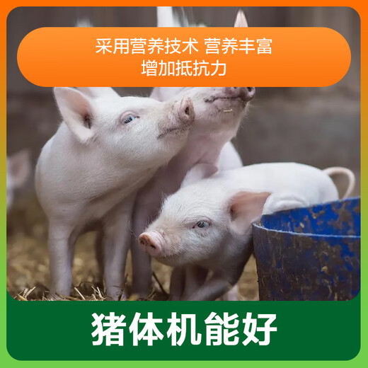 East China Chia Tai 8% piglet premix feed additive pig feed growth promotion anti-diarrhea and skeleton pulling