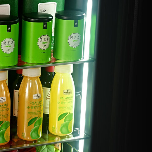 PULADI Seamless Embedded Red Wine Cabinet Constant Temperature Wine Cabinet Embedded Hidden Compressor Wine Tea Refrigerator Touch Open Door Touch Open Door BMDT-125T Dual Temperature Wine Cabinet 120L