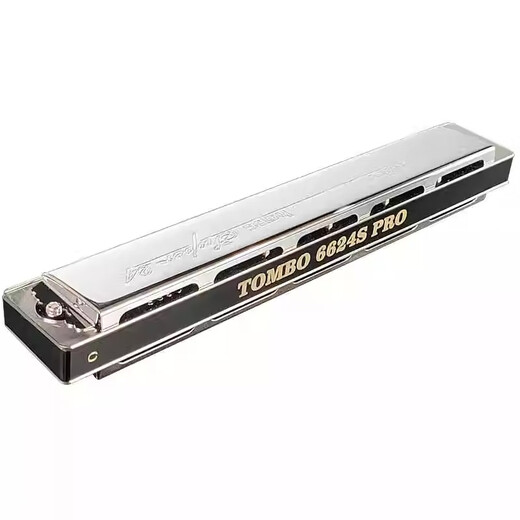 Tongbao Neues 24-Loch-Polyphonic Mundhonica Advanced Adult Adult Professional Performance Grade Electrloplated Seat Plate Mharmonica B Tune + Vollständige Geschenke