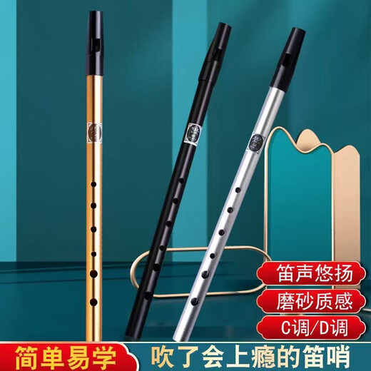 美度爱尔兰哨笛成人初学学生练习演奏学校6孔竖笛乐器 英式 六孔 C调 时尚黑-合金材质