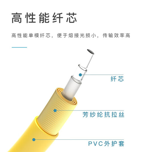 达胜光 电信级光纤跳线 SC-SC单模单芯 低烟无卤光纤线 收发器尾纤连接线 10米3.0 DSG-SUSU10S