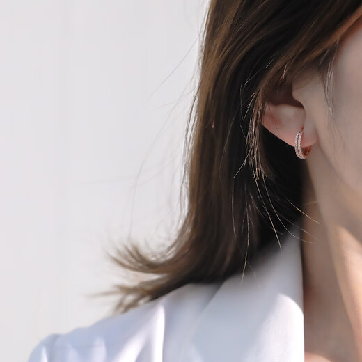 DL 1998 Fat Donglai same style rose gold earrings, temperament earrings 2024 new style micro-embellished fashionable versatile earrings double layer round rose gold double layer earrings