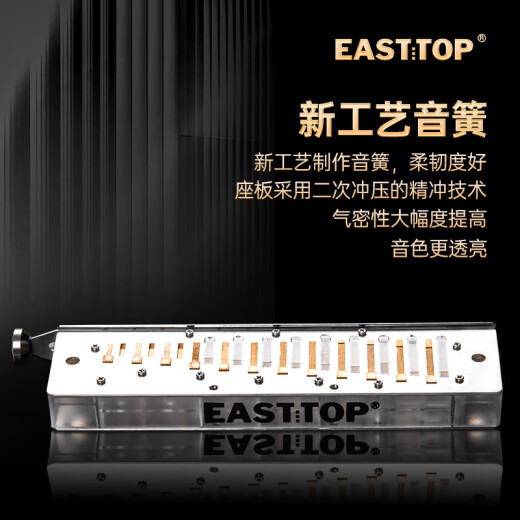 东方鼎（EAST TOP）半音阶口琴12孔48音黑色款 梦想者2.0 专业演奏初学练习通用款