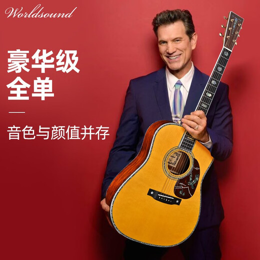 沃迪森（worldsound）高端豪华沃迪森可可菠萝手工全单吉他单板民谣电箱木吉他指弹 41英寸 D-60S圆角电箱