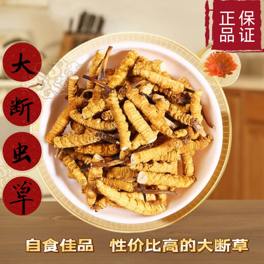 藏区冬虫夏草雪山天然冬虫夏草大断虫草自食大断草实惠煲汤干嚼 虫草大断草20克（发22克装)