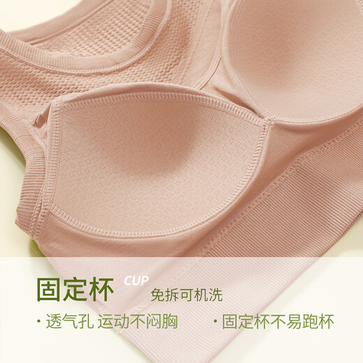 雪茜曼运动内衣女高强度防震健身跑步瑜伽外穿背心聚拢防下垂美背文胸