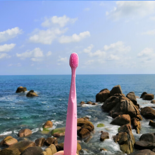 Heechul Tsinghua small head 45 degree toothbrush sharpened wire Korean two-color heterogeneous wire charcoal wire Pasteur brushing teeth for men and women traveling children Sakura powder 1