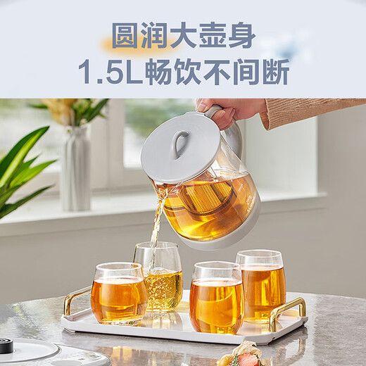 SUPOR Health Pot 316L Stainless Steel 1.5L Tea Boiler Flower Teapot Constant Temperature Kettle Kettle Electric Kettle Office Insulation Teapot with Filter SW-15YJ01