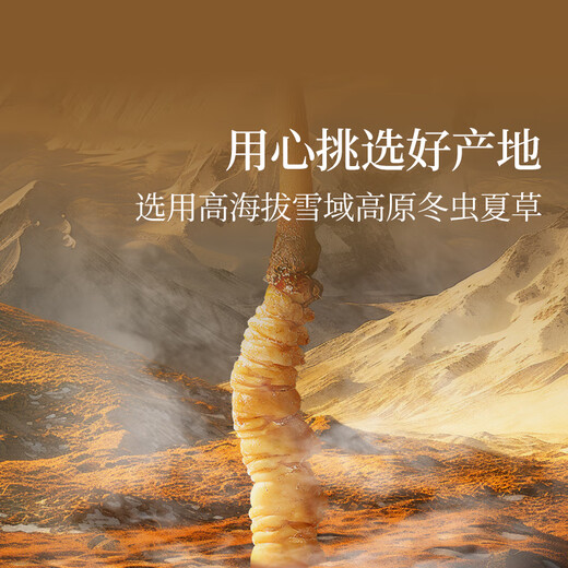 同仁堂品牌冬虫夏草约5根/g20g约100根高端滋补礼盒营养礼补品送人父母