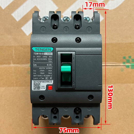 天正电气TENGENTGM1N塑壳断路器总闸开关100A12250A40 TGM1N-125L/330012