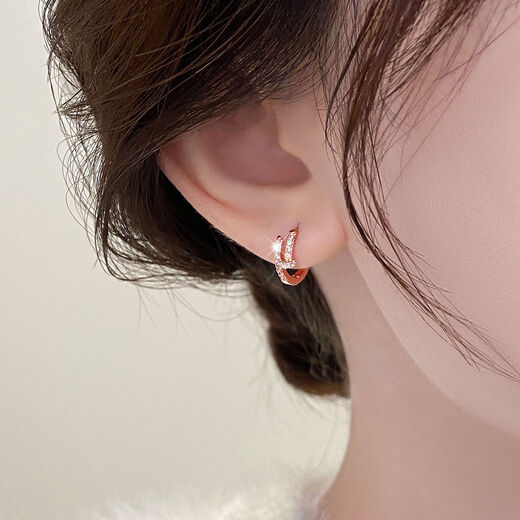 Luruo 2024 New 18K Gold Rose Gold Nail Earrings Women's Light Luxury Niche Earrings High-end Temperament Earrings Rose Gold Earrings