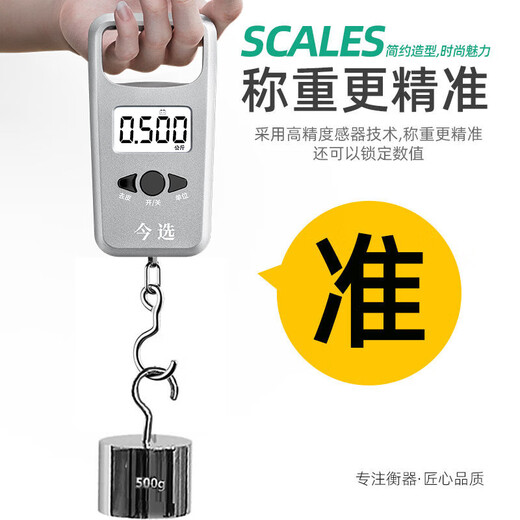 Die heutige Auswahl (Jinxuan) Tragbarer elektronischer Skala Hochvorbereitete tragbare mini kleine hängende Skala-Haken-Wiege-Spring-Gepäckschale Fischereiskala Silber Batterie Modell 50 cm Jin [Jin ist 0,5 kg]